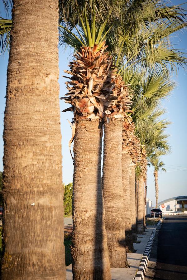Limassol Akrotiri Beach Vine Cottage A エクステリア 写真