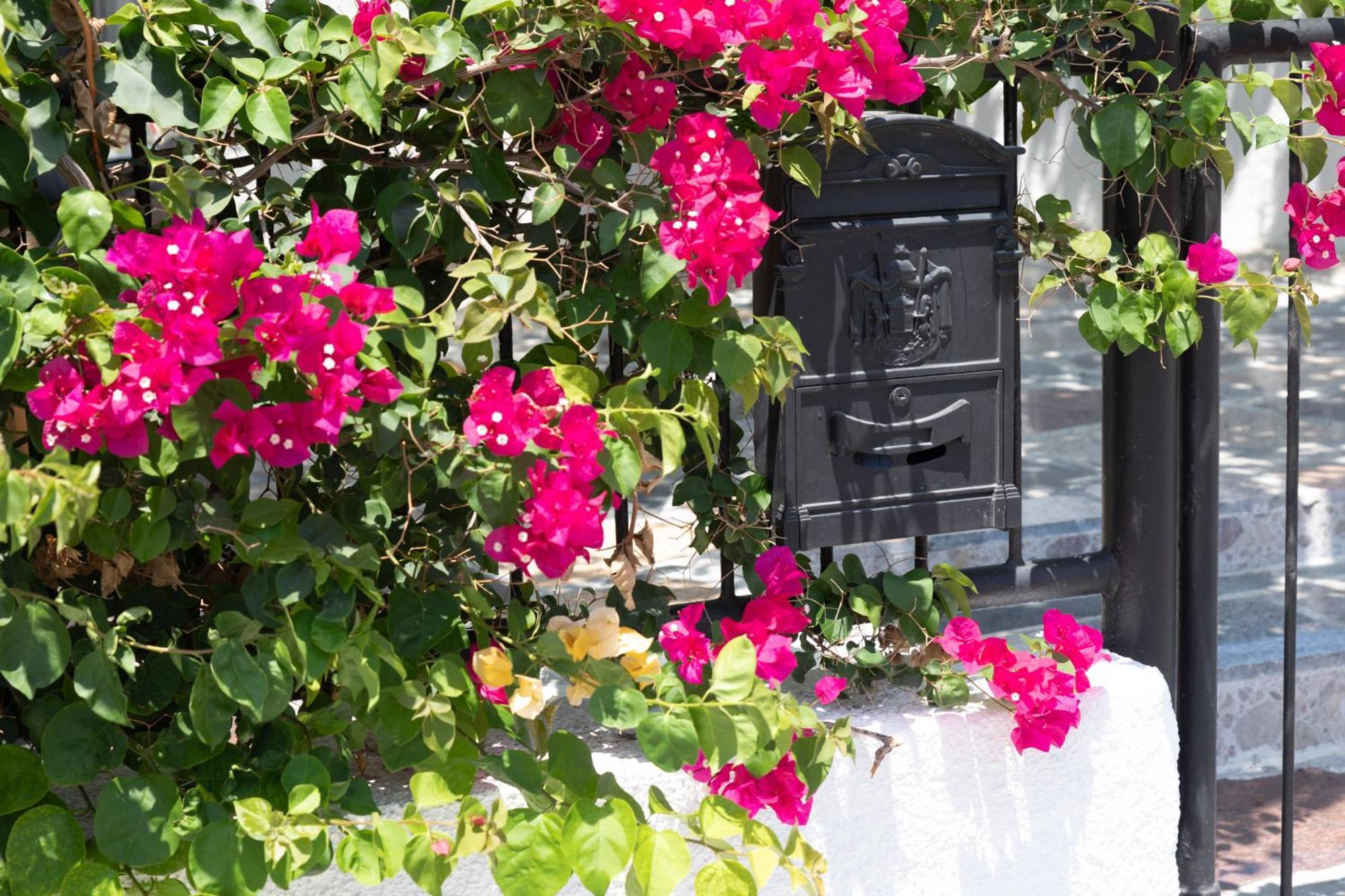 Limassol Akrotiri Beach Vine Cottage A エクステリア 写真